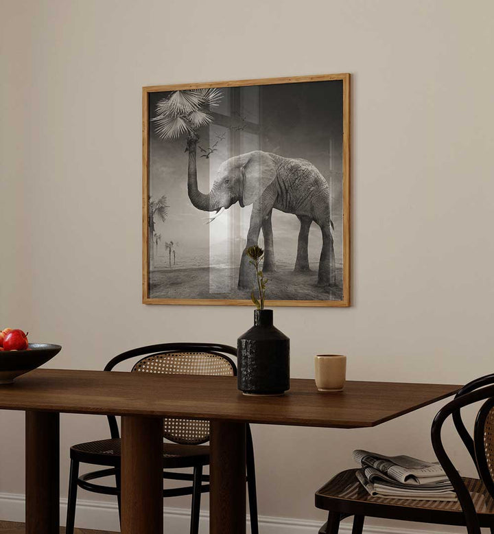 THE STORY OF ELEPHANTS , PHOTOGRAPHY PRINTS