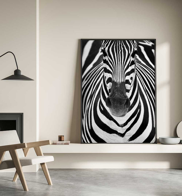 ZEBRA I , PHOTOGRAPHY PRINTS