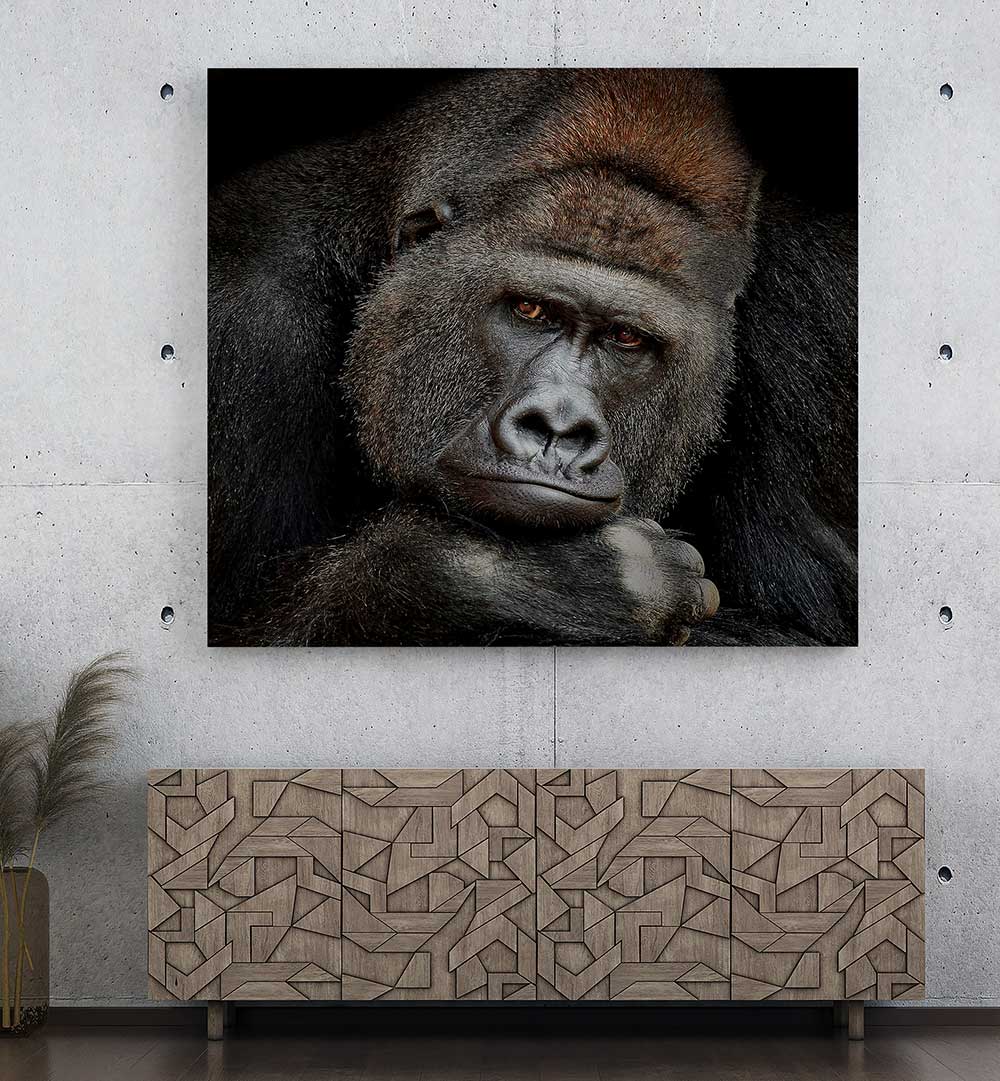 ONE MOMENT IN CONTACT , PHOTOGRAPHY PRINTS