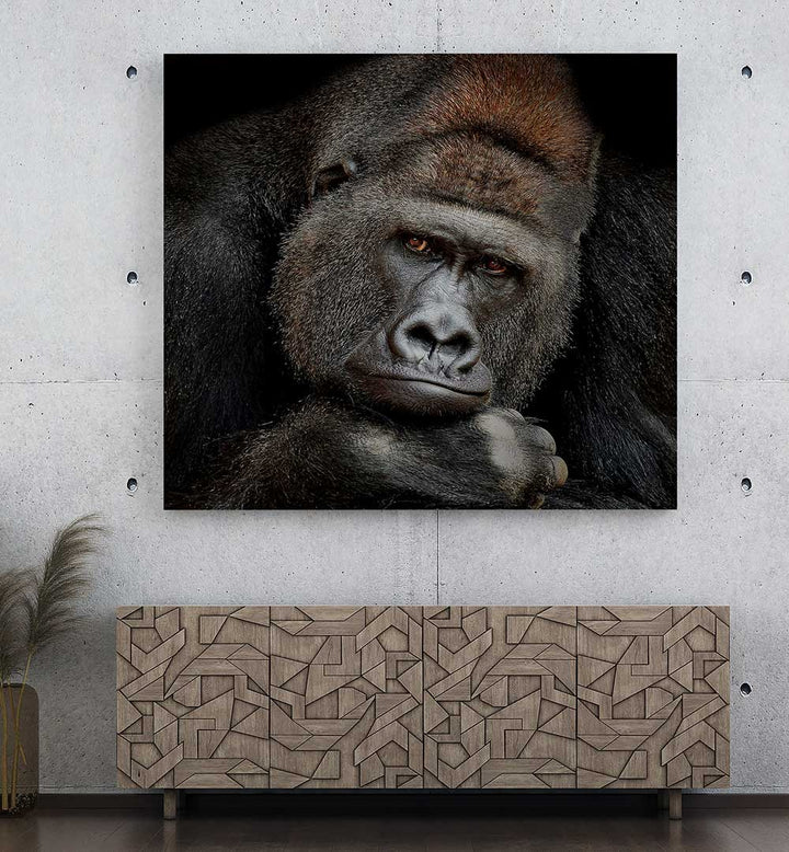 ONE MOMENT IN CONTACT , PHOTOGRAPHY PRINTS