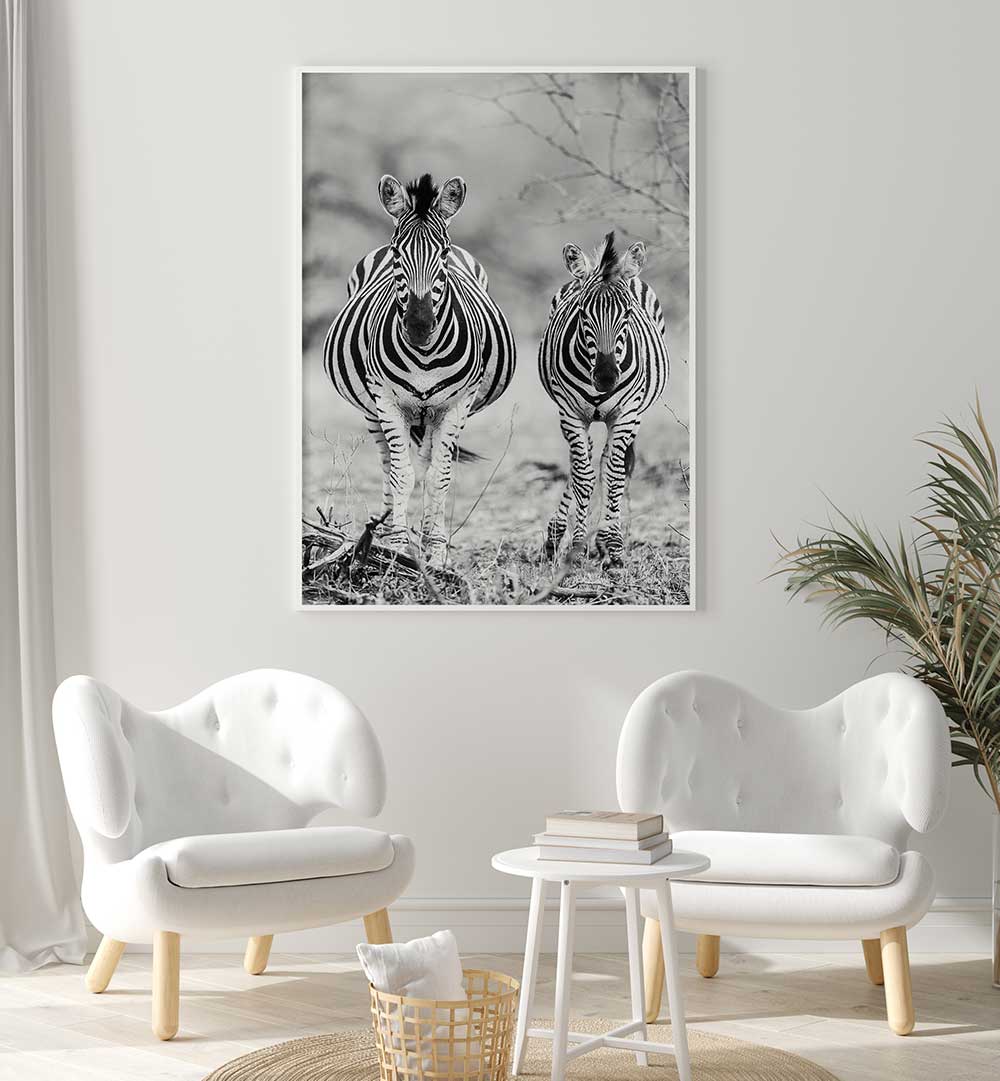 STRIPED HORSE , ANIMAL PAINTINGS zebra duo black-and-white art print hanging above chairs in minimalist living room