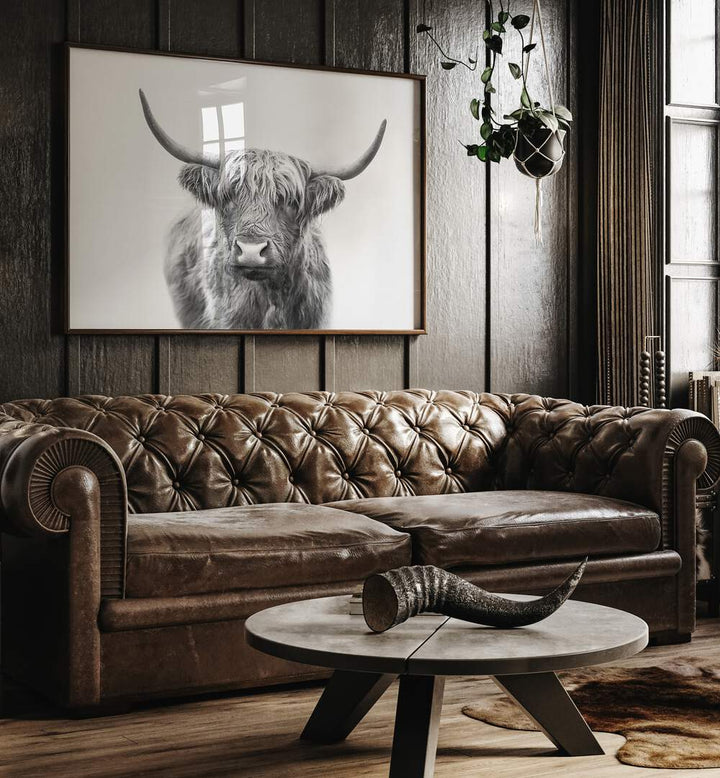Decorate your space with HIGHLAND BULL, ANIMAL PAINTINGS, capturing the charm and strength of this majestic creature.