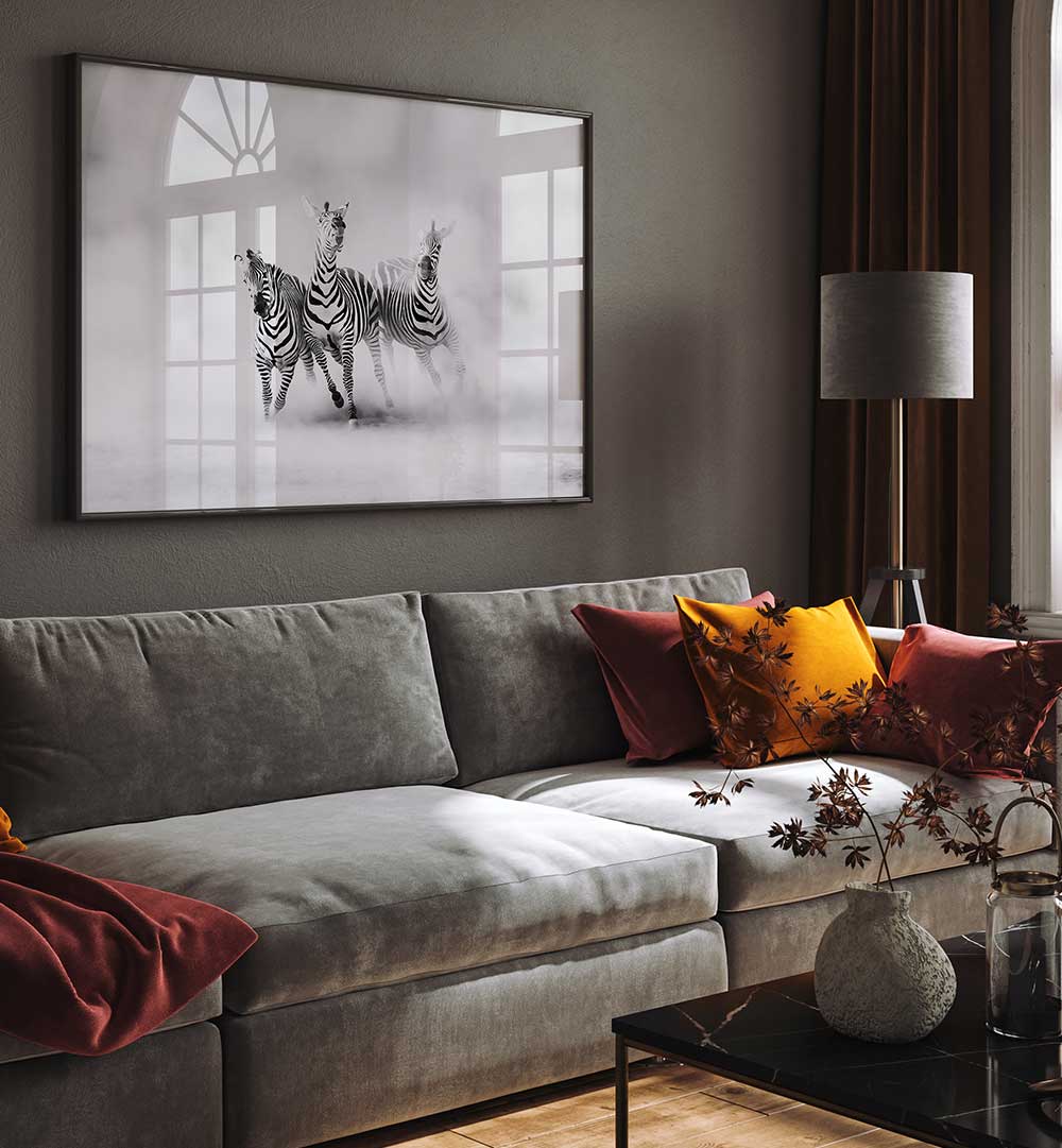 ZEBRAS , PHOTOGRAPHY PRINTS