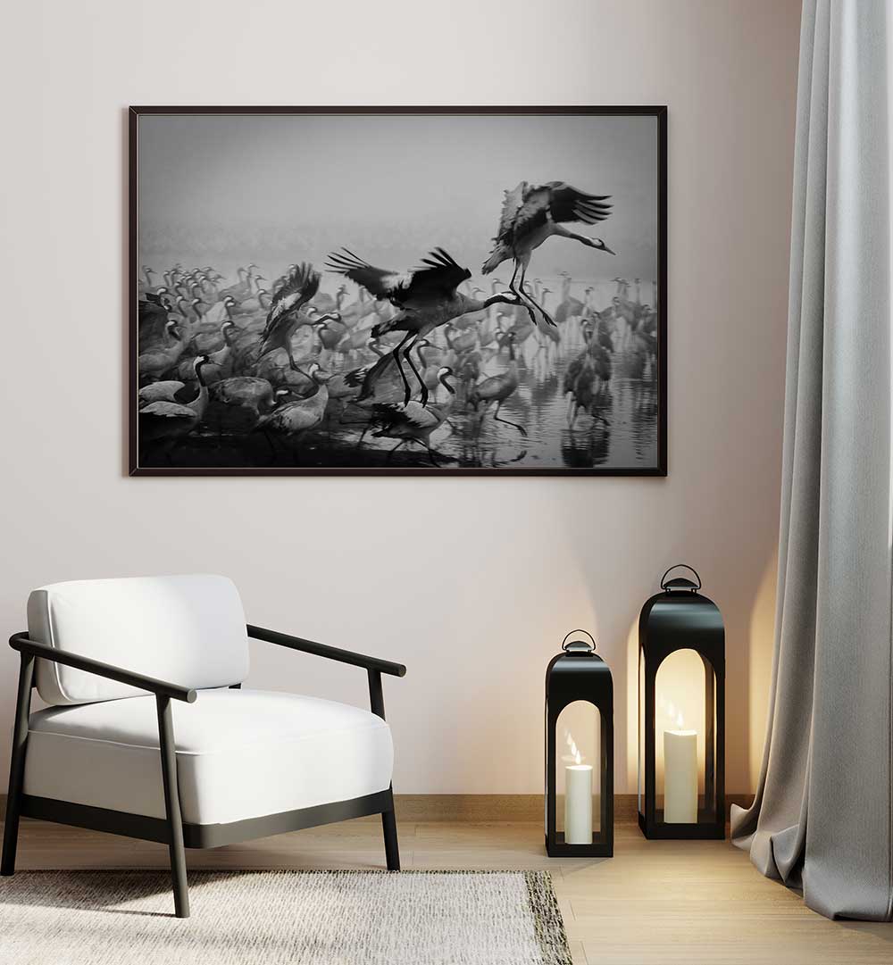 TRIO , PHOTOGRAPHY PRINTS