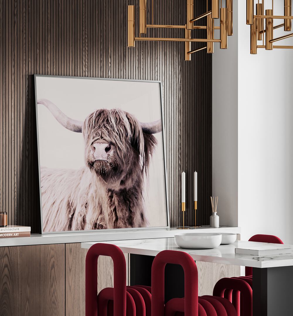 Highland Cattle Animal Paintings elegantly showcased in a modern setting, perfect for art lovers and home decor.