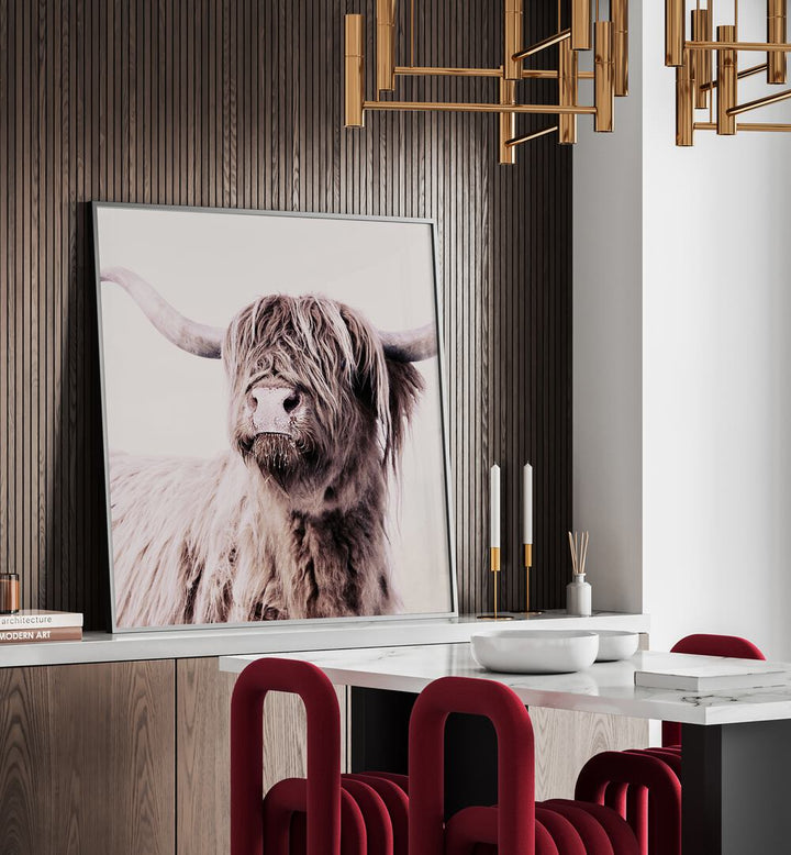 Highland Cattle Animal Paintings elegantly showcased in a modern setting, perfect for art lovers and home decor.