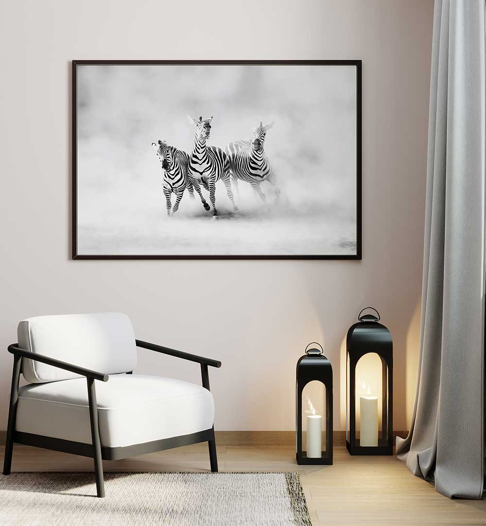ZEBRAS , PHOTOGRAPHY PRINTS