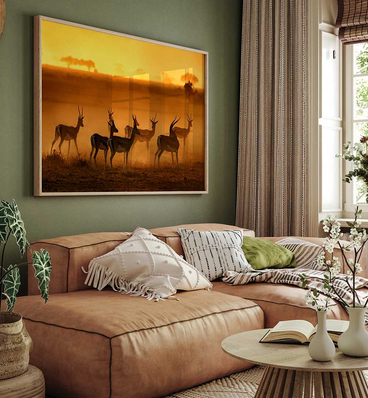 GOLDEN LIGHT  , PHOTOGRAPHY PRINTS