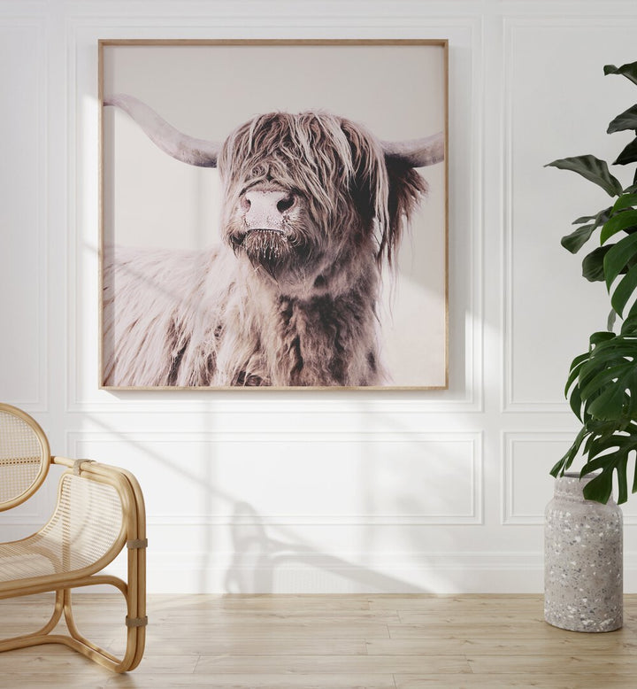 Stunning Highland Cattle Animal Paintings showcasing wildlife beauty, perfect for art lovers. Add elegance to any space.