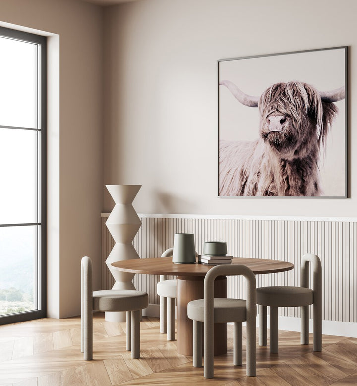 Highland Cattle Animal Paintings displayed in a stylish interior, perfect for art lovers and home decor enthusiasts.