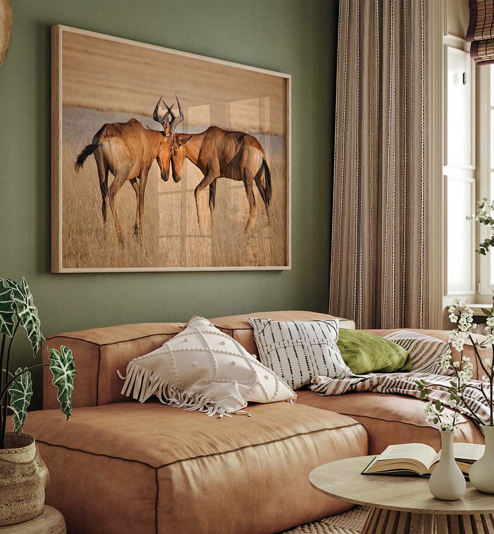 HARTEBEESTS , PHOTOGRAPHY PRINTS