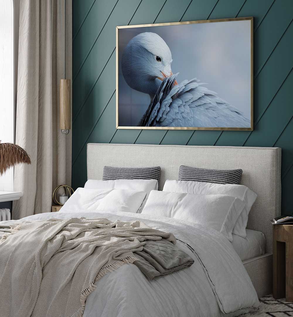 NATURAL BEAUTY , PHOTOGRAPHY PRINTS