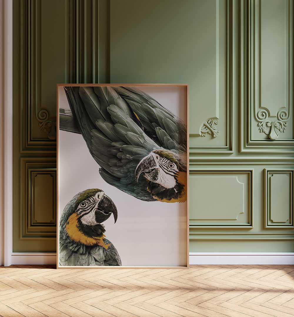 VIBRANT PARROT DUO , ANIMAL PAINTINGS framed art leaning against sage green paneled wall