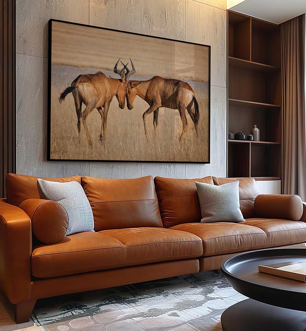 HARTEBEESTS , PHOTOGRAPHY PRINTS