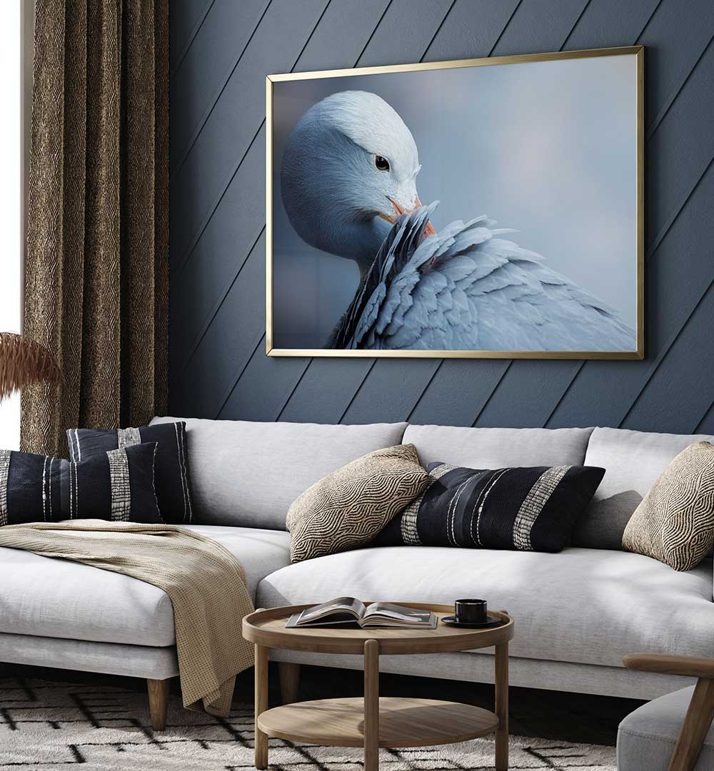 NATURAL BEAUTY , PHOTOGRAPHY PRINTS