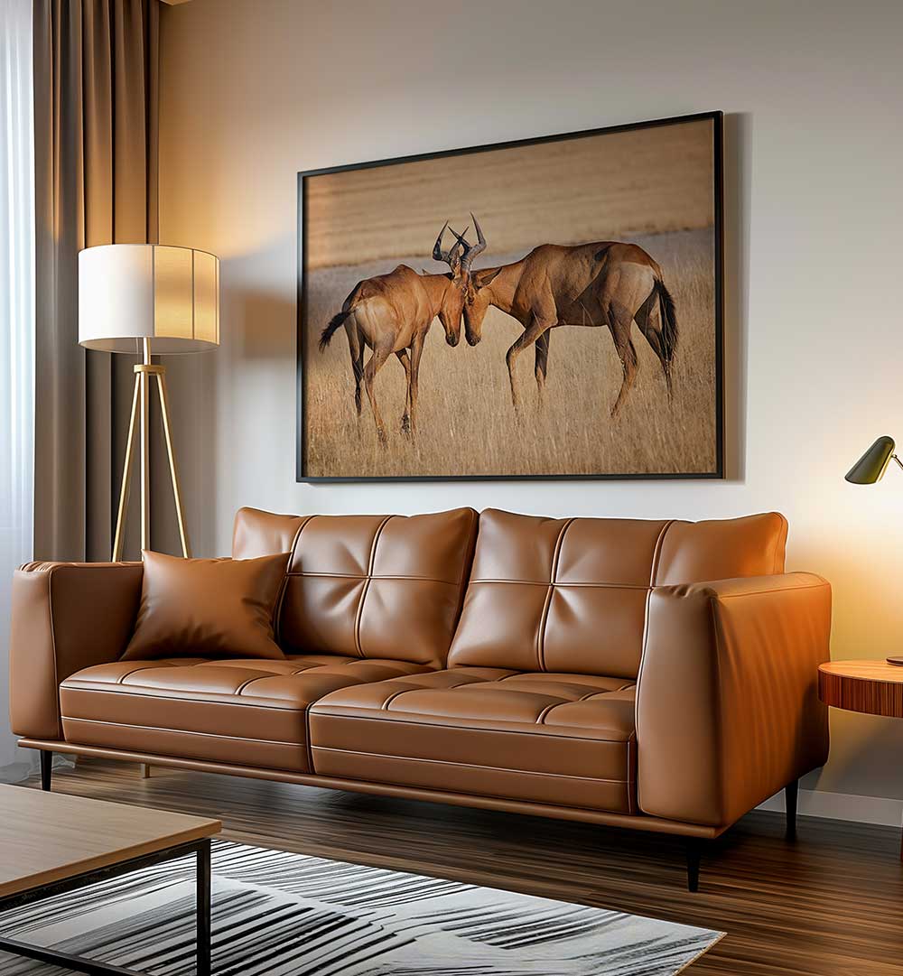 HARTEBEESTS , PHOTOGRAPHY PRINTS