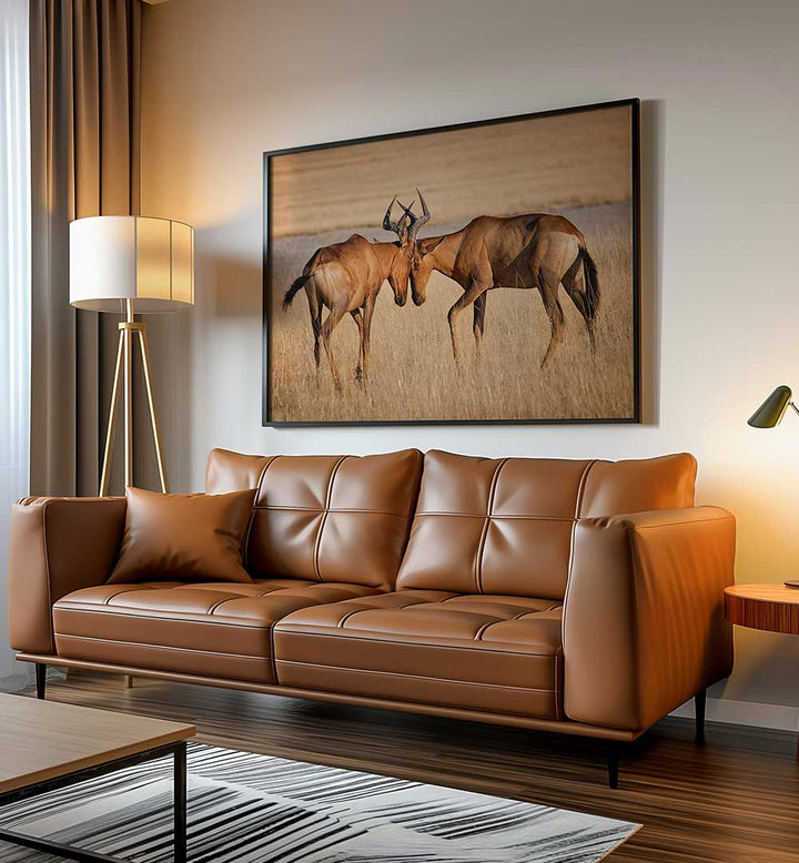 HARTEBEESTS , PHOTOGRAPHY PRINTS
