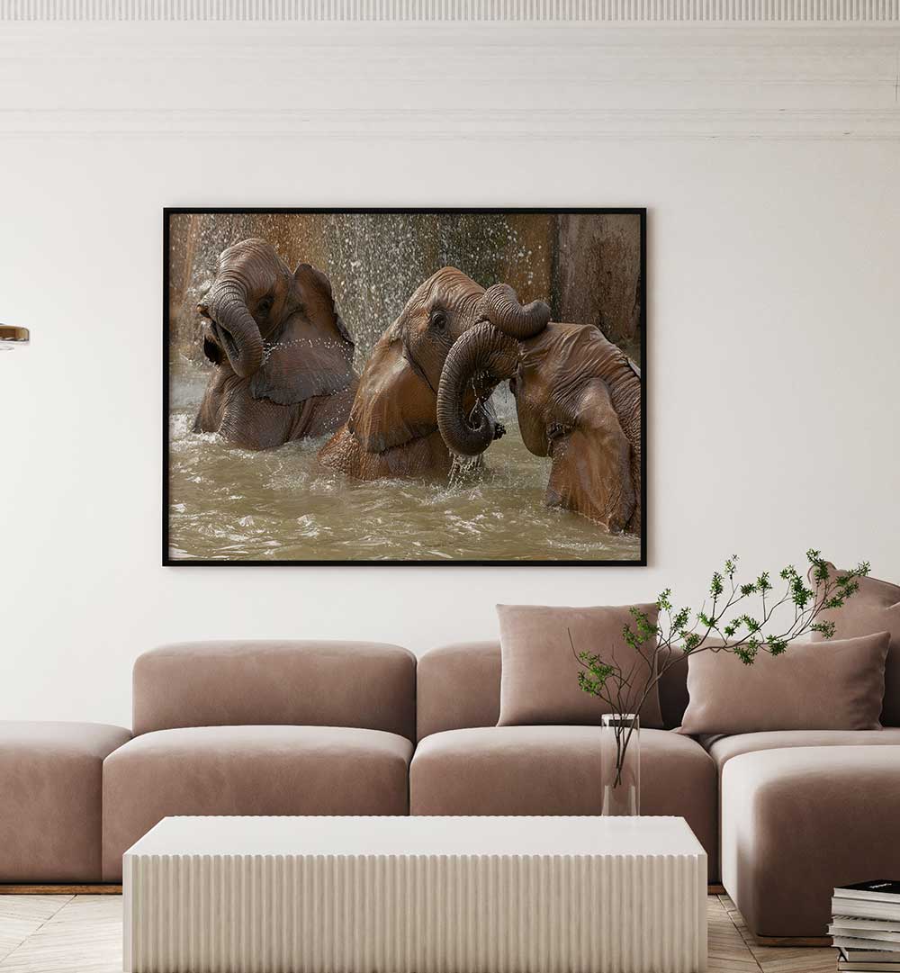 BATH TIME PLAY, PHOTOGRAPHY PRINTS