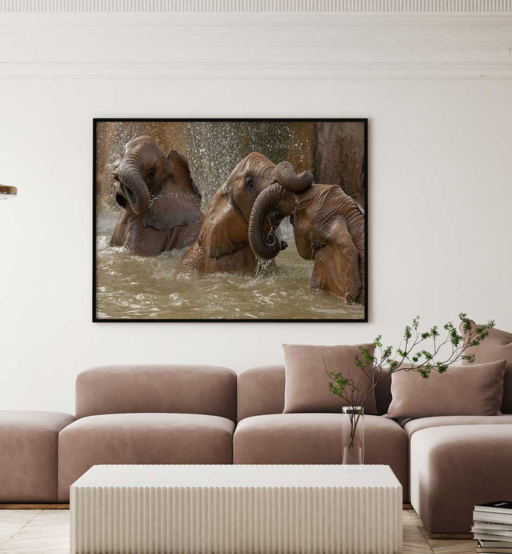 BATH TIME PLAY, PHOTOGRAPHY PRINTS