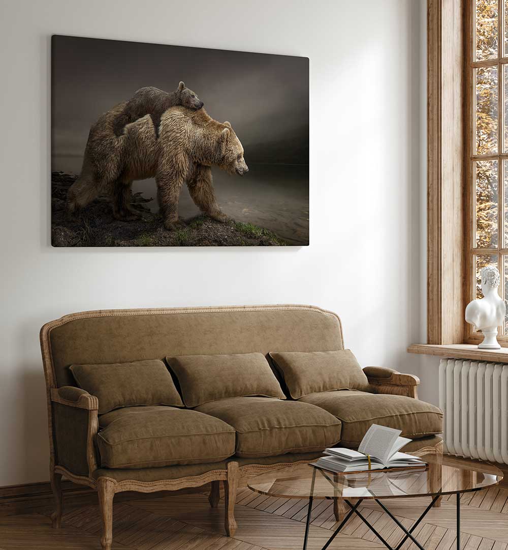 BABY BEAR  , PHOTOGRAPHY PRINTS