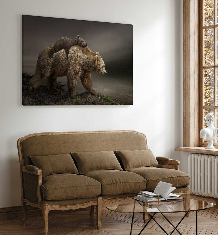 BABY BEAR  , PHOTOGRAPHY PRINTS