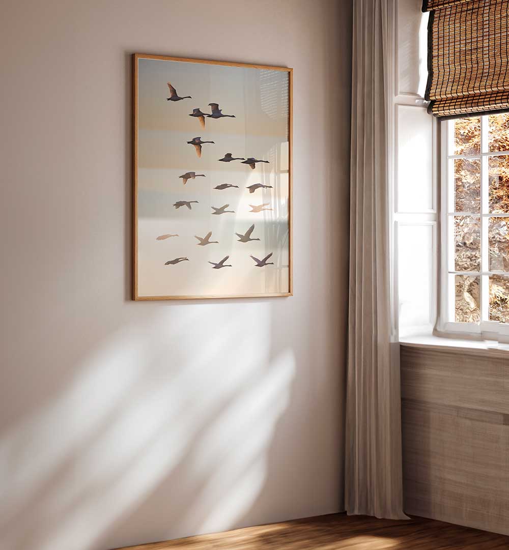 PAST THE SUN , PHOTOGRAPHY PRINTS