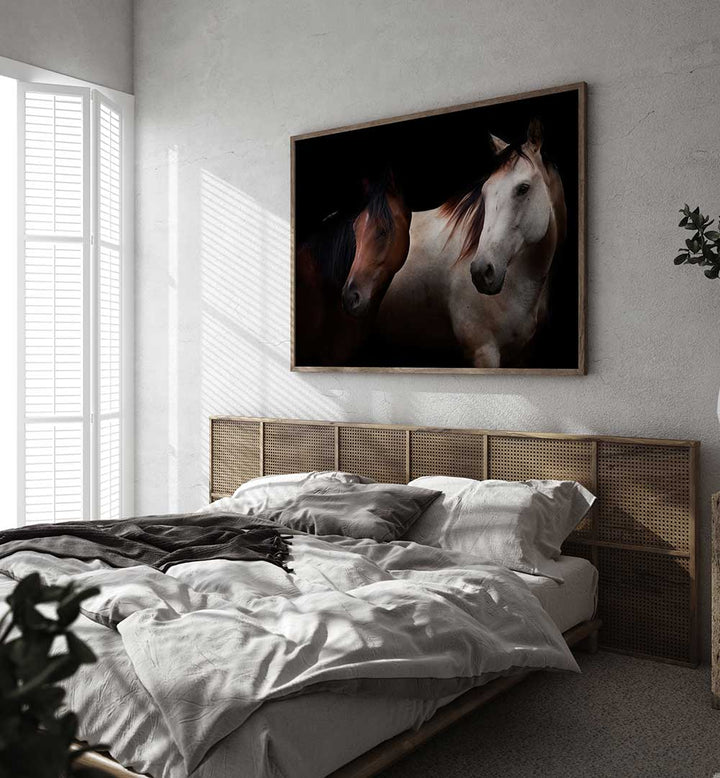 CAVALLI , PHOTOGRAPHY PRINTS