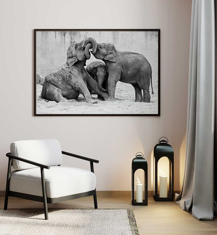 ELEPHANT'S AT PLAYGROUND , PHOTOGRAPHY PRINTS