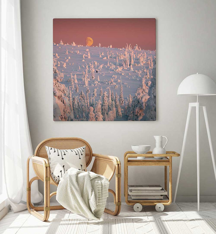 PHOTOGRAPHER , LANDSCAPE PHOTOGRAPHY