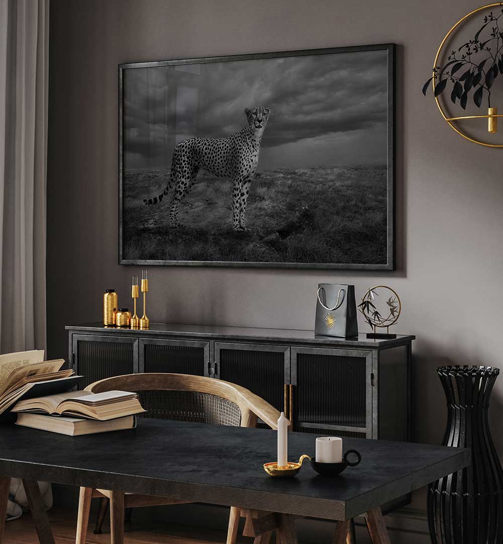 ALERT CHEETAH  , PHOTOGRAPHY PRINTS