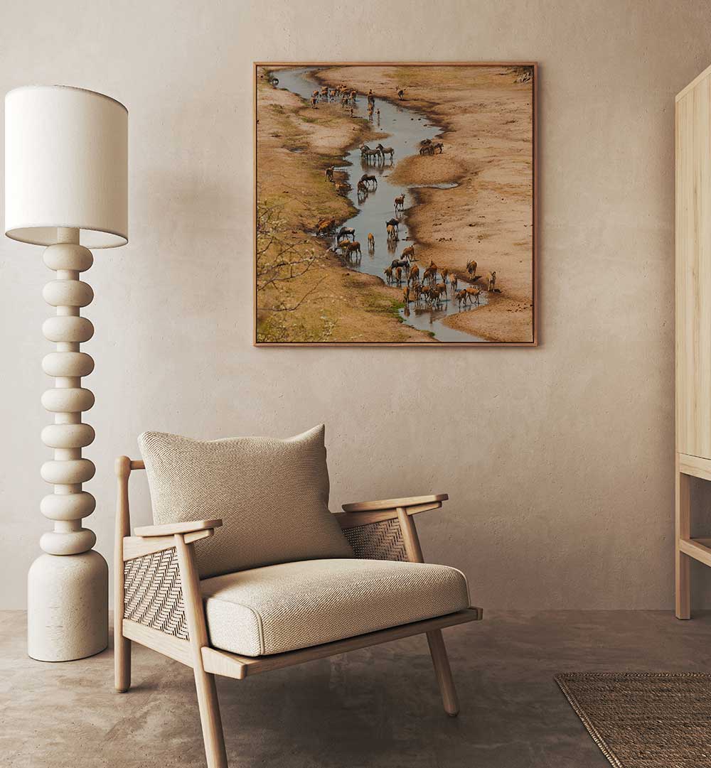 THE TARANGIRE RIVER , PHOTOGRAPHY PRINTS