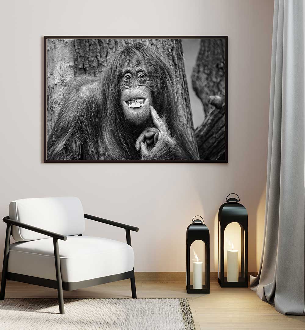 SHE'S GOT THE LOOK , PHOTOGRAPHY PRINTS