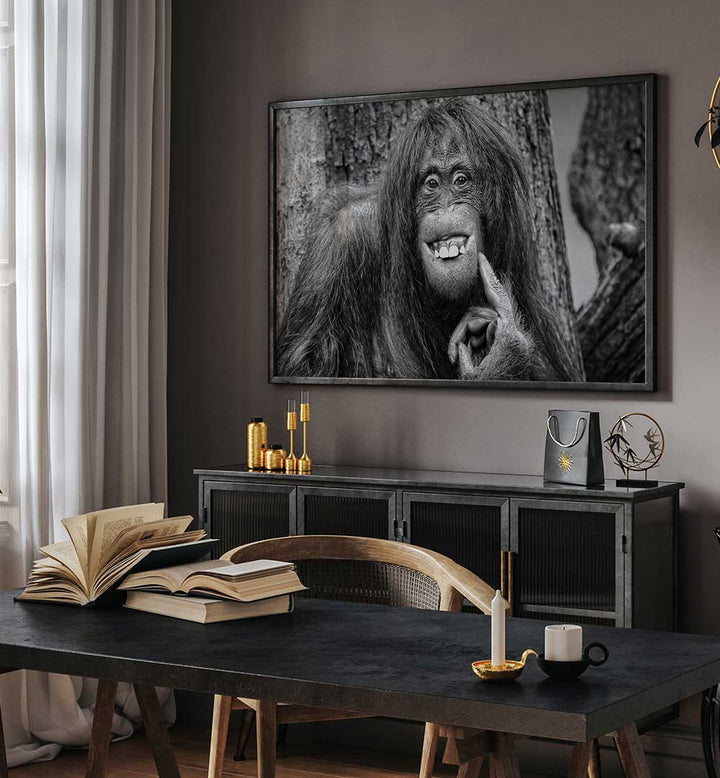 SHE'S GOT THE LOOK , PHOTOGRAPHY PRINTS