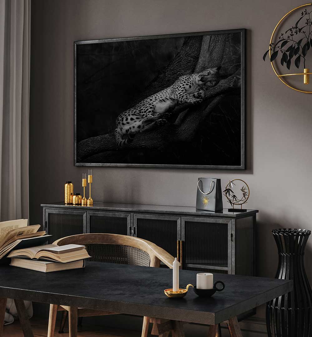 RESTING CHEETAH , PHOTOGRAPHY PRINTS