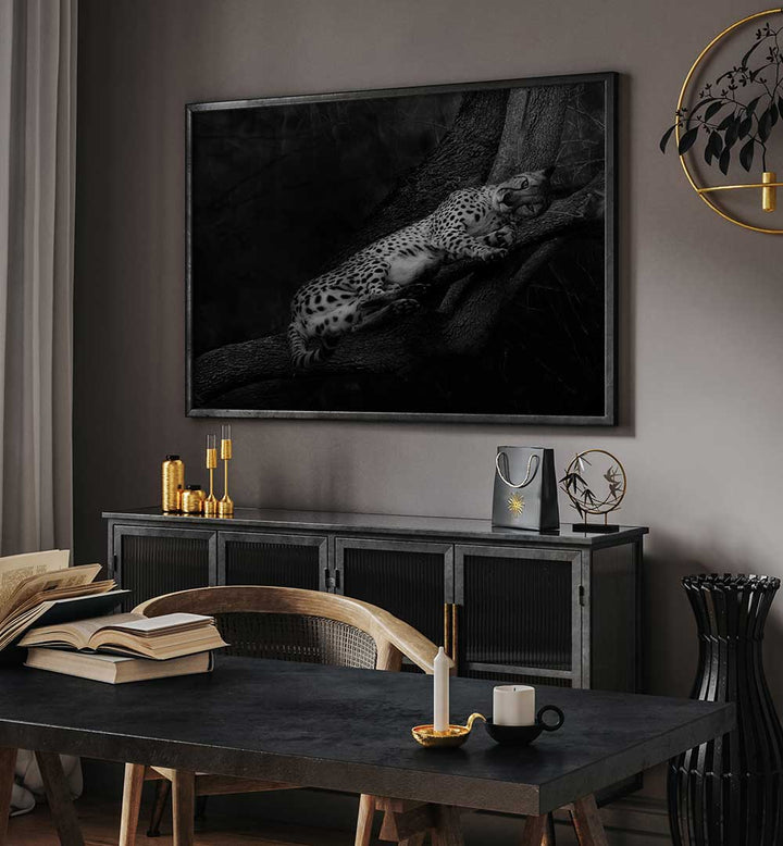 RESTING CHEETAH , PHOTOGRAPHY PRINTS