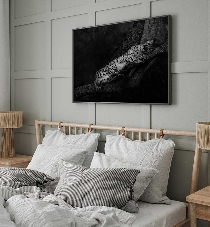 RESTING CHEETAH , PHOTOGRAPHY PRINTS