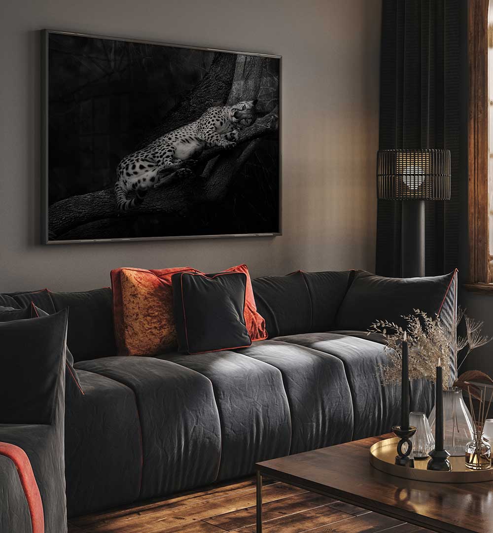 RESTING CHEETAH , PHOTOGRAPHY PRINTS