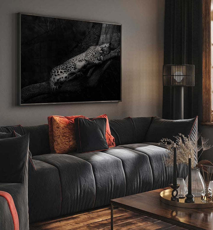 RESTING CHEETAH , PHOTOGRAPHY PRINTS