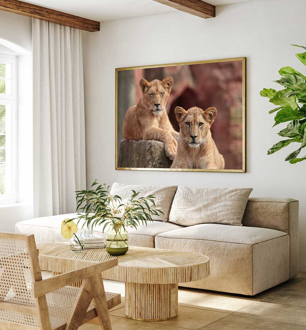 SISTERS  , PHOTOGRAPHY PRINTS