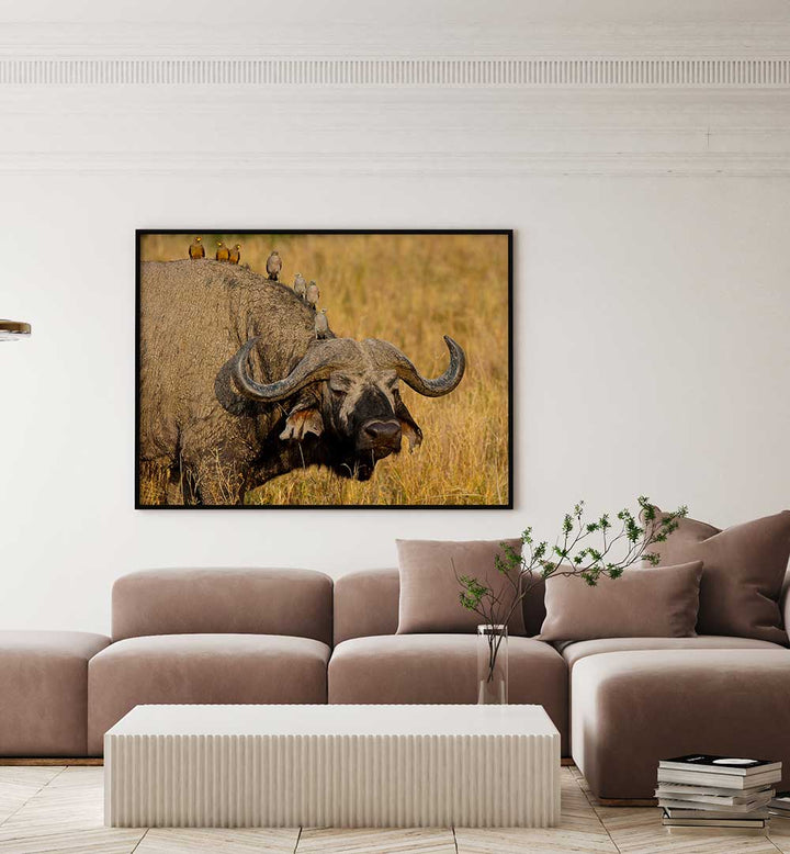 BROCHETTE , PHOTOGRAPHY PRINTS