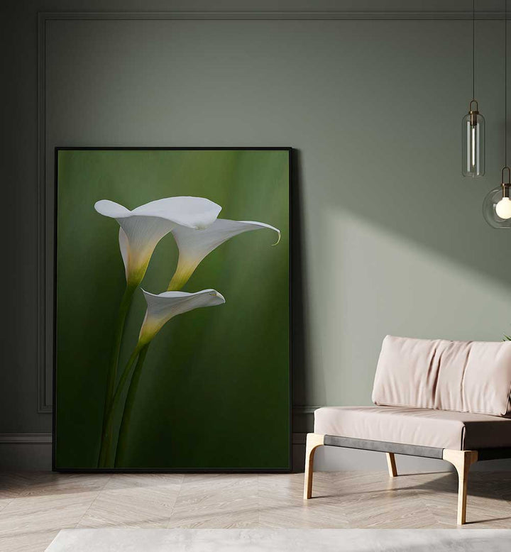 SIMPLICITY & ELEGANCE , FLORAL FLOWER PAINTINGS