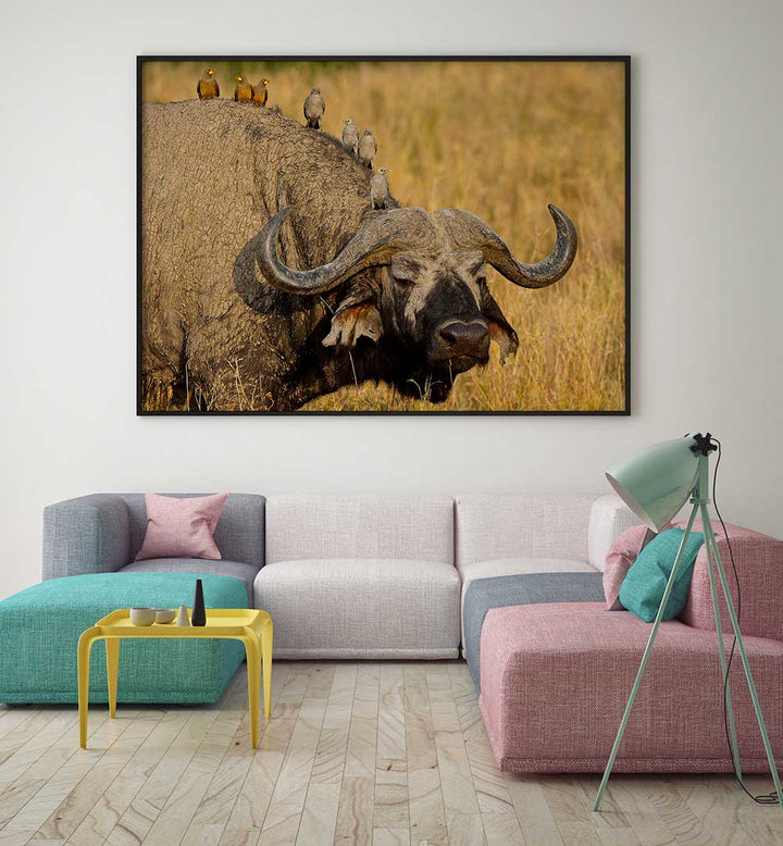 BROCHETTE , PHOTOGRAPHY PRINTS