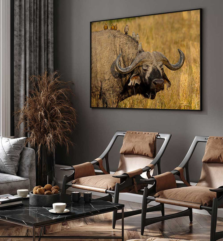 BROCHETTE , PHOTOGRAPHY PRINTS