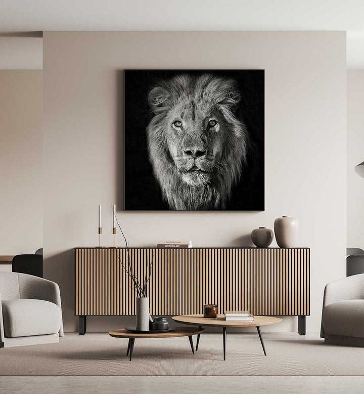 LION PORTRAIT  , PHOTOGRAPHY PRINTS