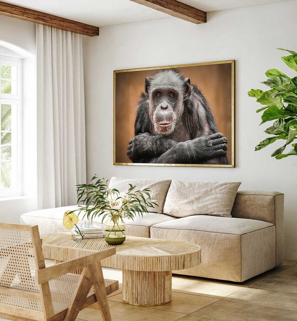 SO CLOSE TO US  , PHOTOGRAPHY PRINTS