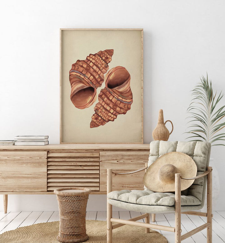 Seashell Vintage, beach paintings showcasing beautiful ocean-inspired artwork, perfect for coastal décor.
