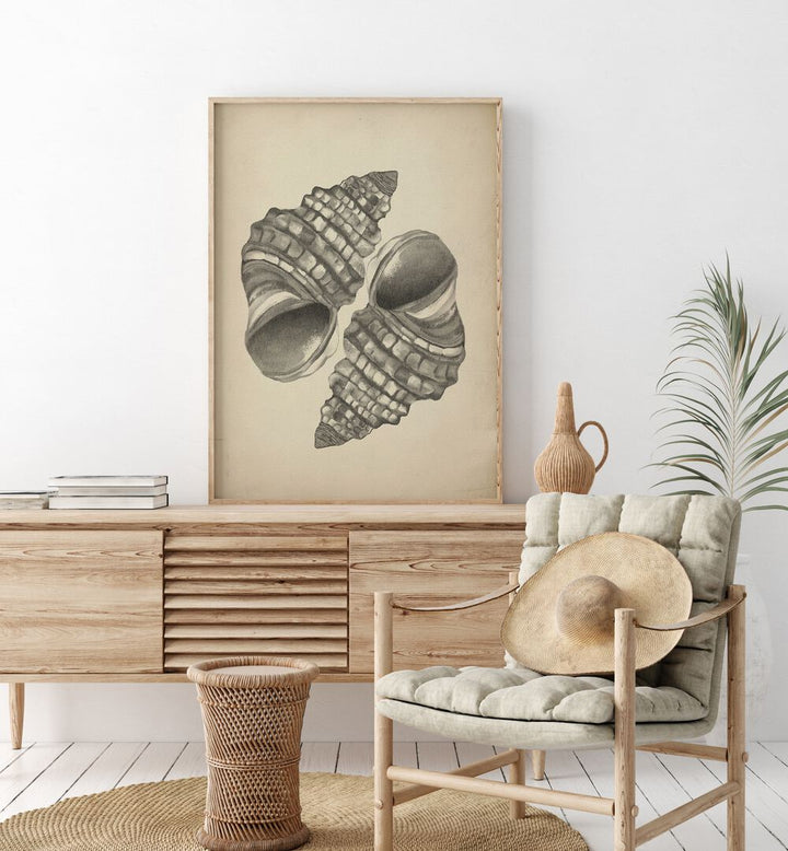 Elegant SEASHELLS II, BEACH PAINTINGS adorn a cozy space, showcasing coastal beauty and ocean allure.