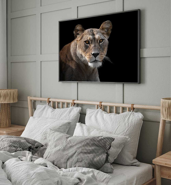 LIONESS PORTRAIT  , PHOTOGRAPHY PRINTS