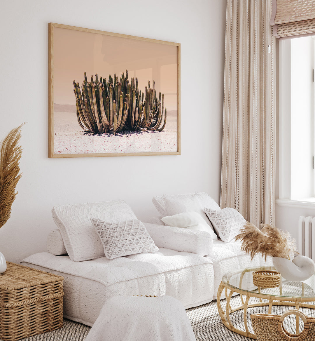 PEACH SKY CACTUS , COWBOY & MODERN AMERICANA PAINTINGS