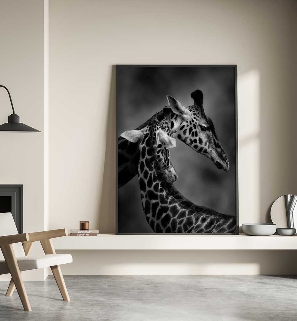 THE GENTLE GIANT , PHOTOGRAPHY PRINTS